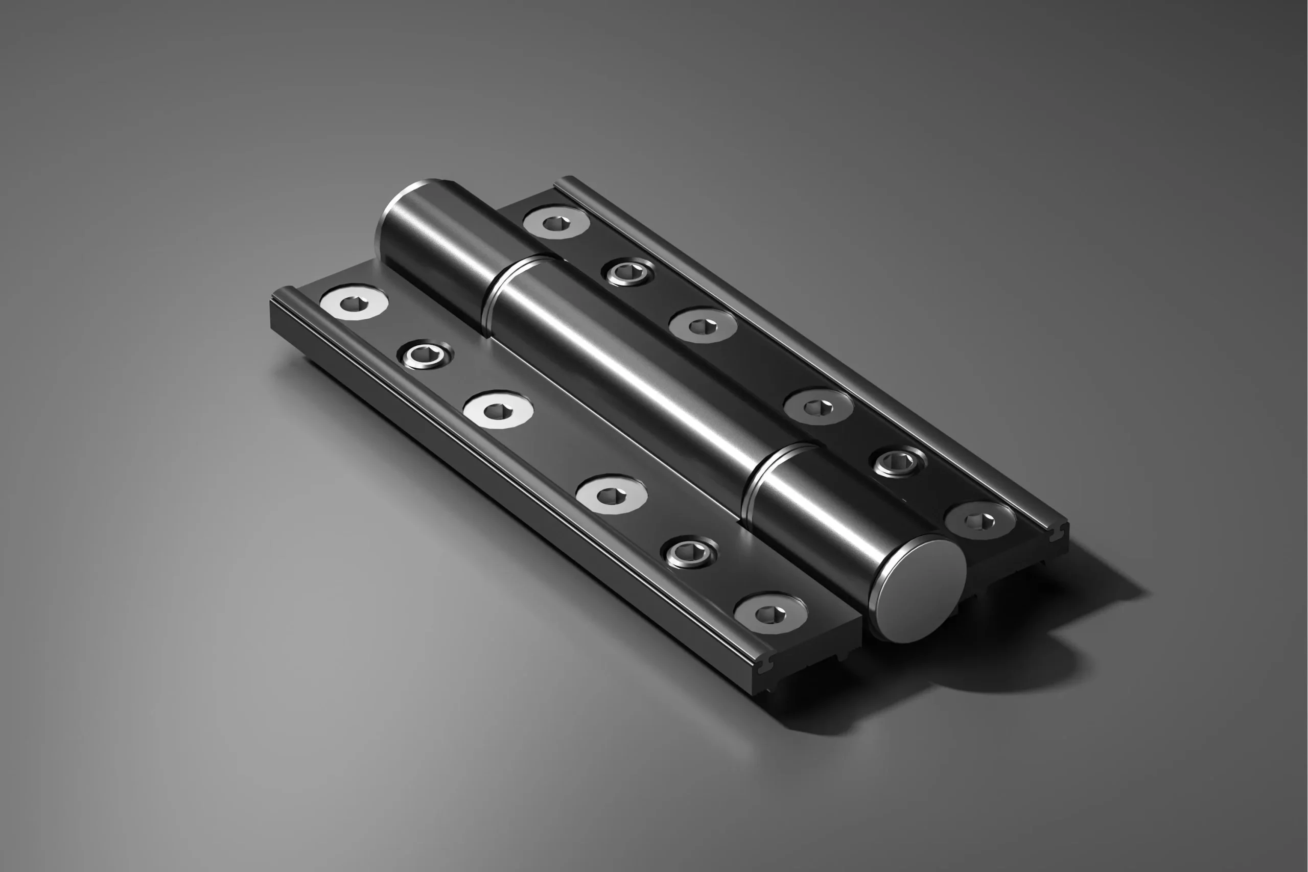 Folding Door